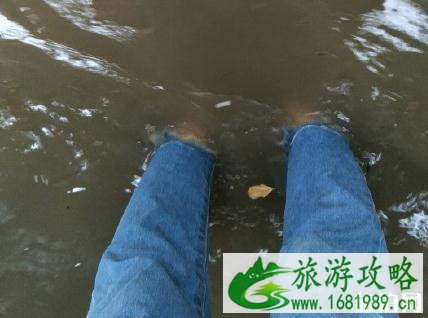 2022年8月大连暴雨还适合去旅游吗 大连淹的严重吗