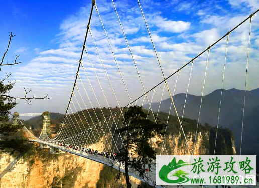 张家界旅游攻略和花费 武汉去张家界旅游需要多少钱 武汉去张家界大峡谷玻璃桥怎么走 张家界旅游攻略和花费 武汉去张家界旅游需要多少钱 武汉去张家界大峡谷玻璃桥怎么走