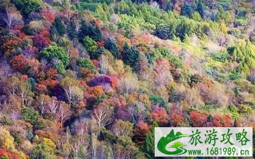 伊春游玩攻略 时间+交通指南+线路 伊春游玩攻略 时间+交通指南+线路