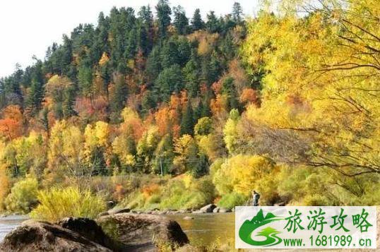 伊春游玩攻略 时间+交通指南+线路 伊春游玩攻略 时间+交通指南+线路