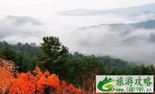 伊春游玩攻略 时间+交通指南+线路 伊春游玩攻略 时间+交通指南+线路