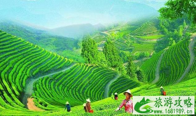 湖北避暑胜地有哪些 湖北避暑胜地有哪些