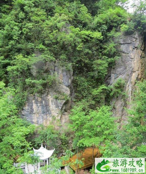 湖北避暑胜地有哪些 湖北避暑胜地有哪些