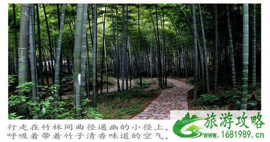 四川避暑的地方有哪些 四川避暑胜地 四川避暑的地方有哪些 四川避暑胜地