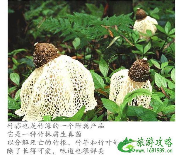 四川避暑的地方有哪些 四川避暑胜地 四川避暑的地方有哪些 四川避暑胜地