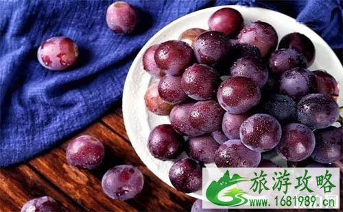成都哪里可以摘葡萄 成都摘葡萄的地方 成都哪里可以摘葡萄 成都摘葡萄的地方