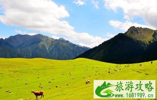 2022乌鲁木齐十大旅游景点推荐 乌鲁木齐必去的景点有哪些 2022乌鲁木齐十大旅游景点推荐 乌鲁木齐必去的景点有哪些