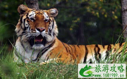 2022西宁十大旅游景点推荐 西宁旅游景点排行榜