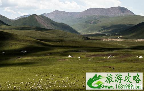2022西宁十大旅游景点推荐 西宁旅游景点排行榜