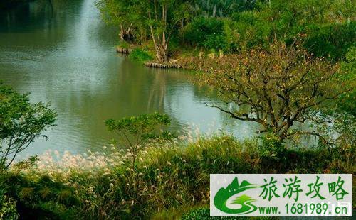 杭州西溪河堤塌方影响旅行吗 杭州西溪河堤塌方严重吗 杭州西溪河堤塌方怎么去 杭州西溪河堤塌方影响旅行吗 杭州西溪河堤塌方严重吗 杭州西溪河堤塌方怎么去