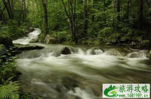 黑龙江避暑圣地有哪些 黑龙江避暑圣地有哪些