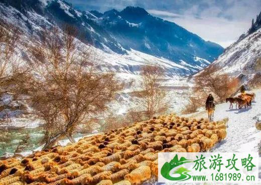 南疆有什么好玩的 南疆游玩 南疆有什么好玩的 南疆游玩