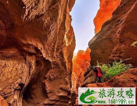 南疆有什么好玩的 南疆游玩 南疆有什么好玩的 南疆游玩