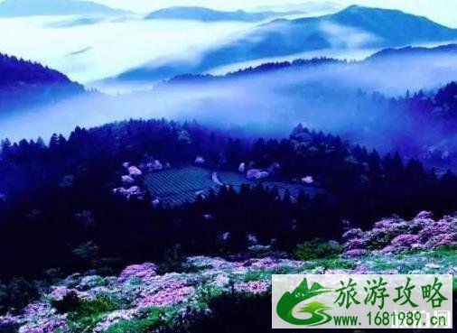 台州避暑哪里好 台州避署胜地 台州避暑哪里好 台州避署胜地