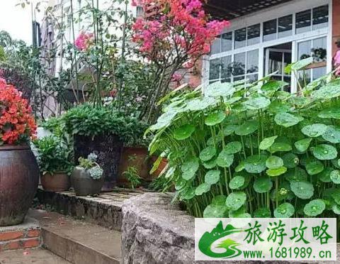 防城港民宿客栈 防城港民宿推荐 防城港民宿客栈 防城港民宿推荐