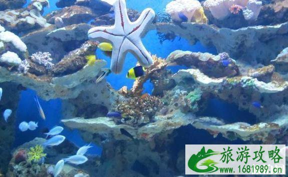 2022国内海洋馆排行榜 中国十大海洋馆介绍 2022国内海洋馆排行榜 中国十大海洋馆介绍