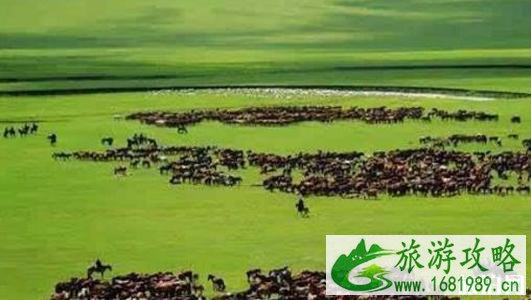 内蒙古最美的地方有哪些 内蒙古最美的地方介绍