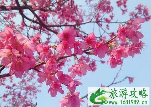 南宁免费景点 南京旅游景点介绍 南宁免费景点 南京旅游景点介绍