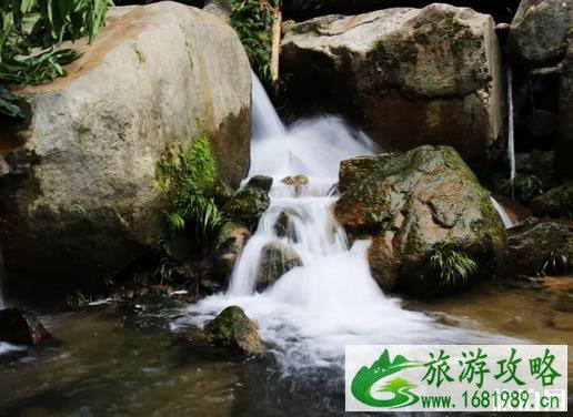 南平游玩攻略 南平周边有啥好玩的景点