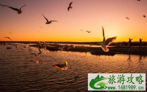 额济纳旗旅游景点有哪些 额济纳旗旅游景点介绍