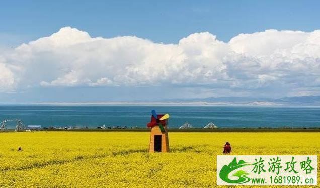 8月份去青海旅游攻略 8月份去青海旅游攻略