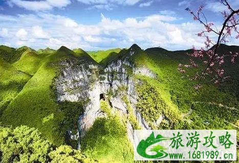 百色旅游攻略自由行 百色旅游攻略自由行