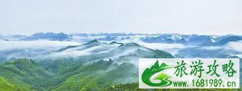 百色旅游攻略自由行 百色旅游攻略自由行