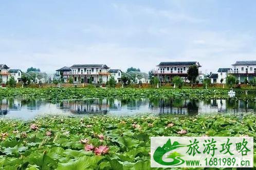 百色旅游攻略自由行 百色旅游攻略自由行