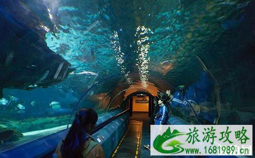 2022北京富国海底世界暑期门票多少钱+优惠政策 2022北京富国海底世界暑期门票多少钱+优惠政策