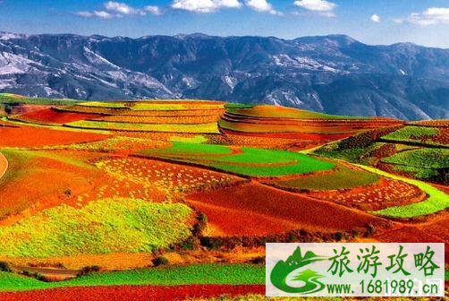2022昆明十大旅游景点推荐 昆明旅游景点排行榜