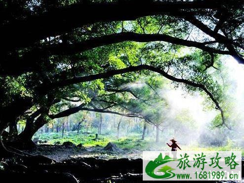 广东冷门旅游景点 广东冷门景点介绍 广东冷门旅游景点 广东冷门景点介绍