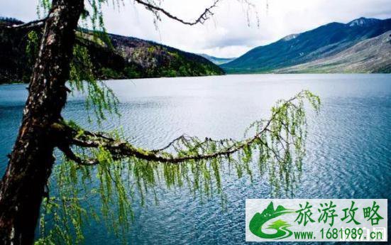 2022瓦屋山开放了吗 四川免费景点最新消息