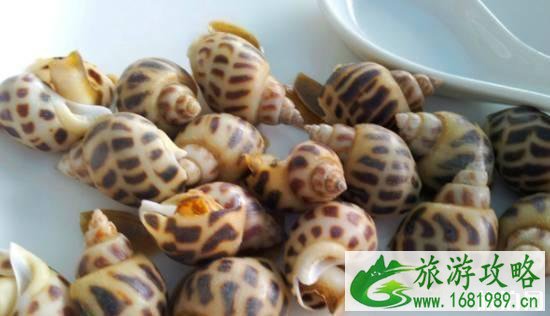 湛江海鲜美食介绍 湛江海鲜美食介绍