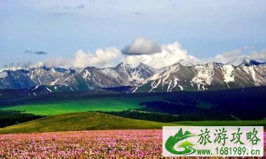 中国最良心景区排行榜