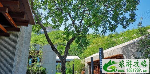 韩建翠溪谷大美儿童世界门票多少钱+优惠政策 韩建翠溪谷大美儿童世界门票多少钱+优惠政策