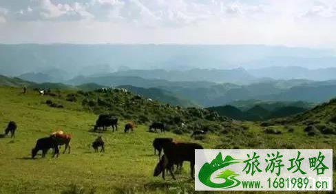 贵州免费旅游景点 贵州免费旅游景点