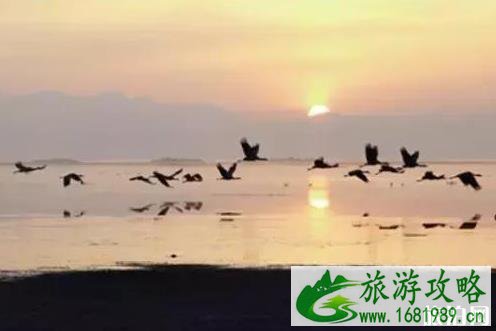 贵州免费旅游景点 贵州免费旅游景点