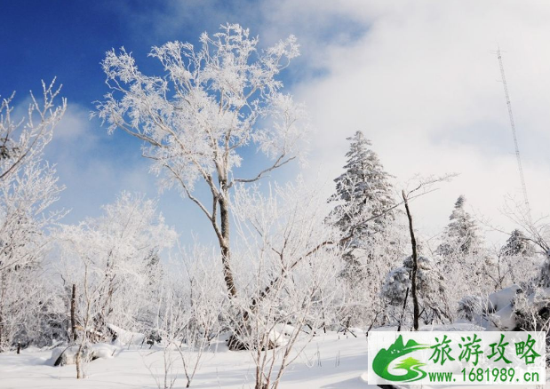 2022暑期旅游十大热门城市 国内暑假去哪里旅游好玩 2022暑期旅游十大热门城市 国内暑假去哪里旅游好玩