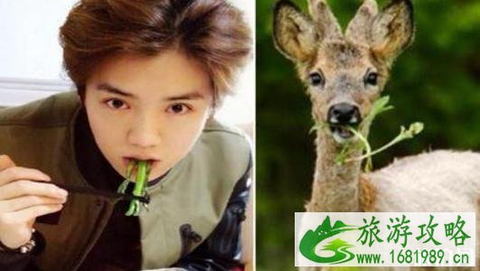 相机软件哪个好 相机软件排行榜