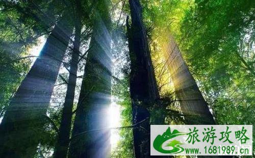 八月自驾去哪里旅游好