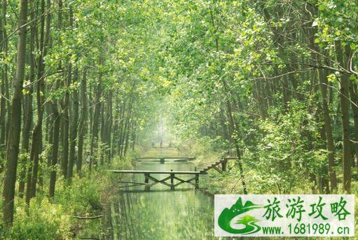2022合肥十大旅游景点推荐 合肥旅游景点排行榜 2022合肥十大旅游景点推荐 合肥旅游景点排行榜
