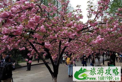 2022合肥十大旅游景点推荐 合肥旅游景点排行榜 2022合肥十大旅游景点推荐 合肥旅游景点排行榜