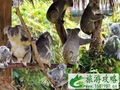 广州必去的地方有哪些 广州必去的地方推荐