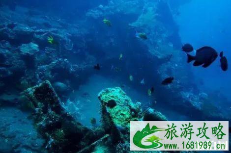 中国附近哪些岛可以潜水 离中国最近的潜水胜地推荐