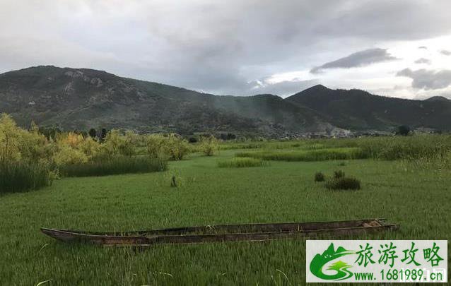 去丽江旅游跟团好还是自由行好 去丽江旅游跟团好还是自由行好