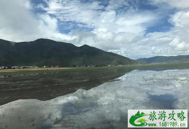 去丽江旅游跟团好还是自由行好 去丽江旅游跟团好还是自由行好
