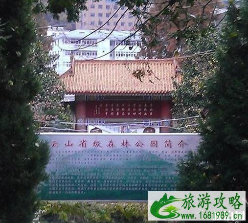 甘肃陇南康县旅游景点介绍