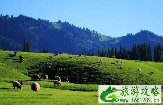 鄂博号旅游专线怎么报名 2022鄂博号在哪里报名 鄂博号旅游专线怎么报名 2022鄂博号在哪里报名