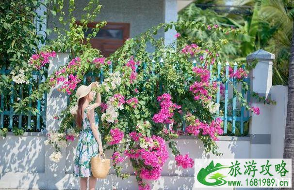越南旅游安全吗近期 越南旅游安全吗近期