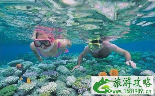 2022重庆汉海鲸豚湾水世界门票多少钱 2022重庆汉海鲸豚湾水世界门票多少钱